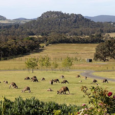 Hanging Rock Views Woodend Esterno foto