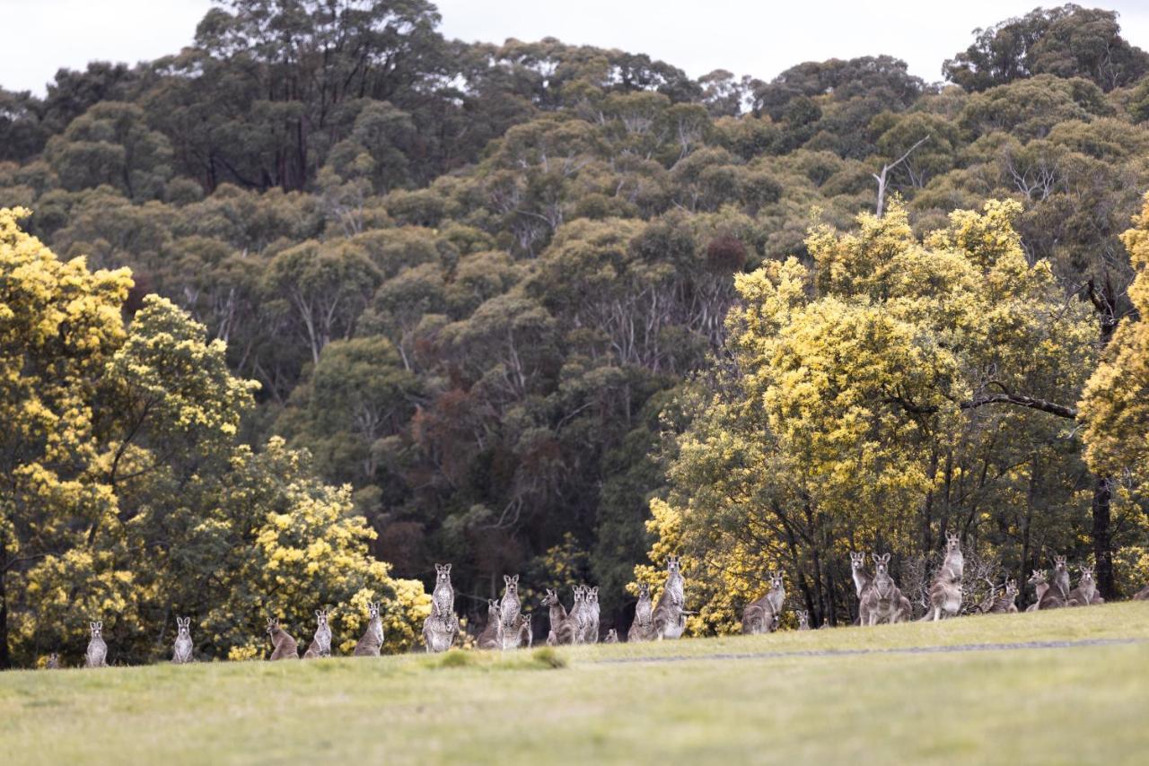 Hanging Rock Views Woodend Esterno foto