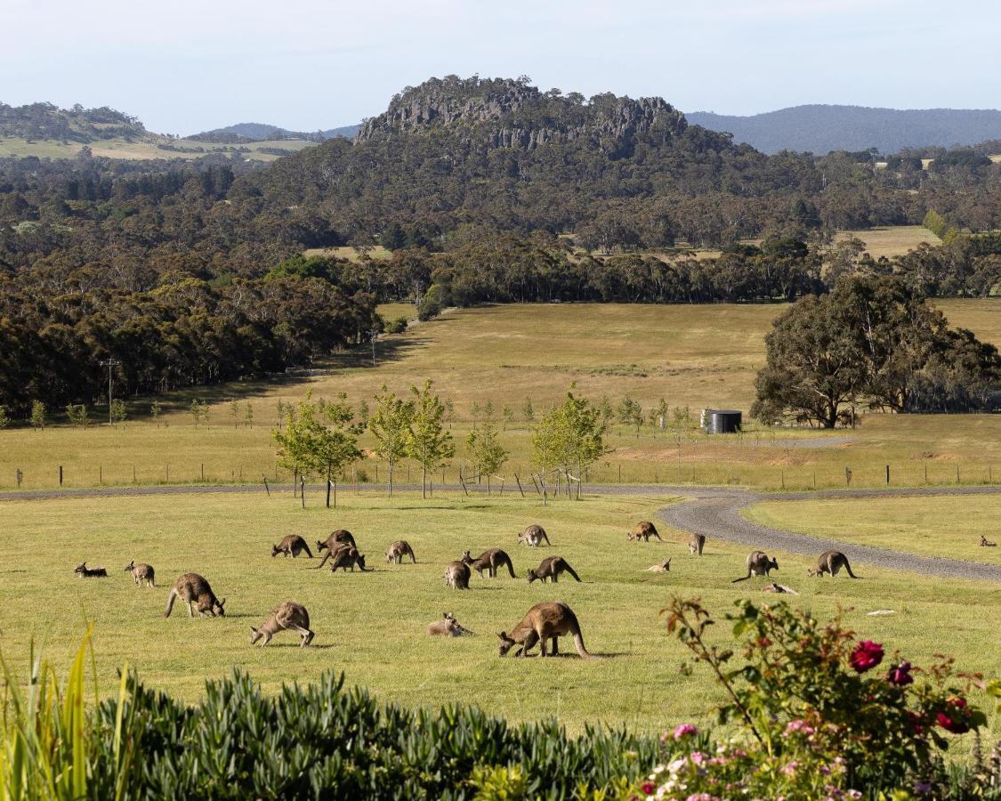 Hanging Rock Views Woodend Esterno foto